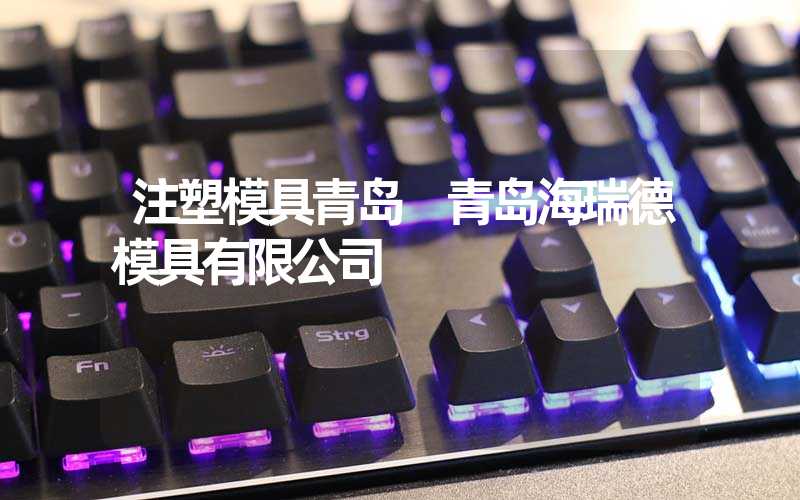 注塑模具青岛 青岛海瑞德模具有限公司
